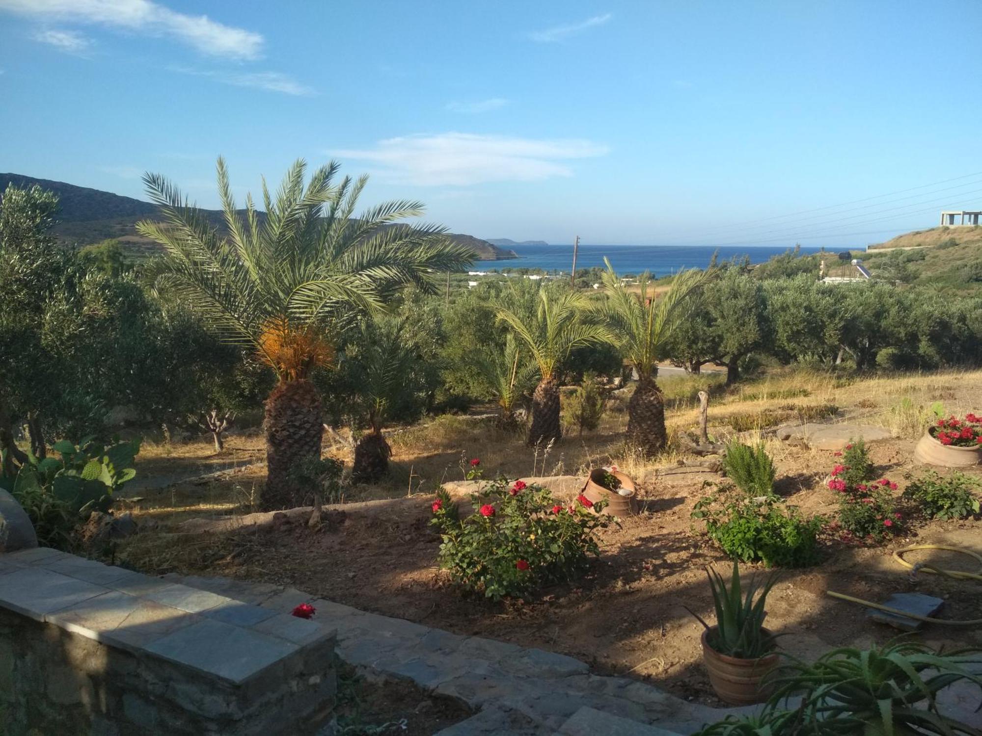Porto Heli Apartments Palekastro Extérieur photo