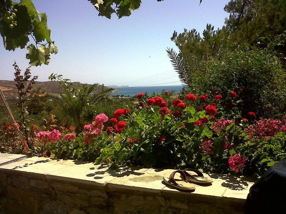 Porto Heli Apartments Palekastro Extérieur photo