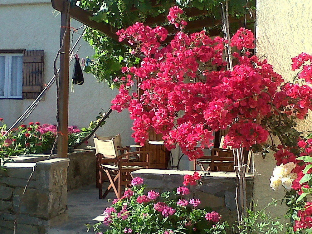Porto Heli Apartments Palekastro Extérieur photo